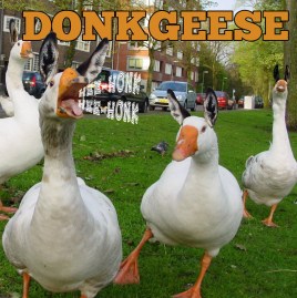 Donkgeese photo