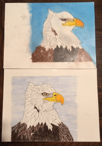 Photo of colored eagle drawing