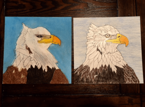Final, cropped eagle drawing