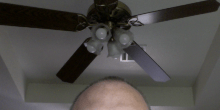 Ceiling fan and forehead